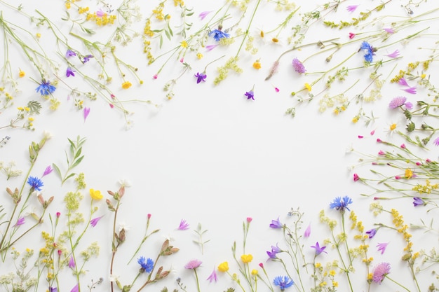 Fleurs d'été sur fond de papier blanc