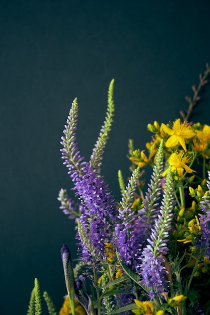 Fleurs d'été sur fond sombre.