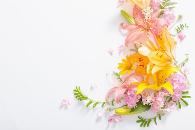 Fleurs d'été lumineuses sur fond blanc