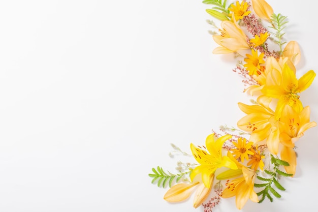 Fleurs d'été lumineuses sur fond blanc