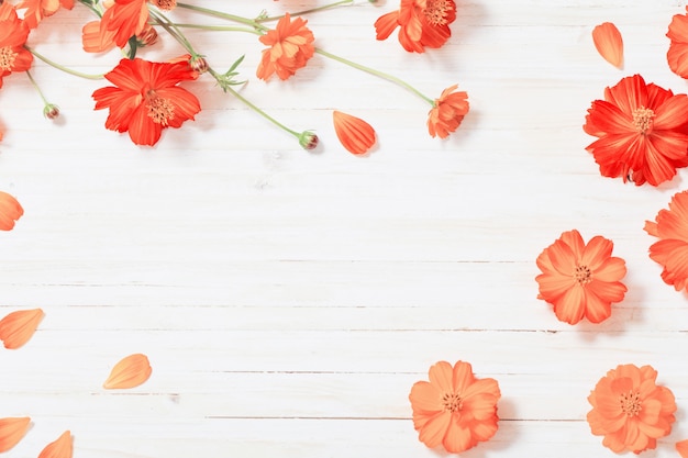 Fleurs d'été orange sur bois blanc