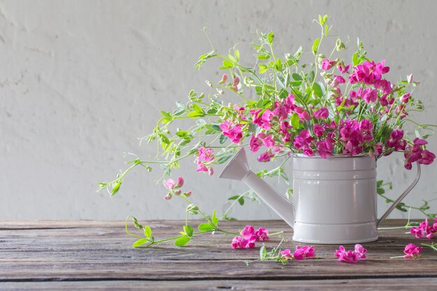 Fleurs d'été rose en arrosoir sur fond mur blanc