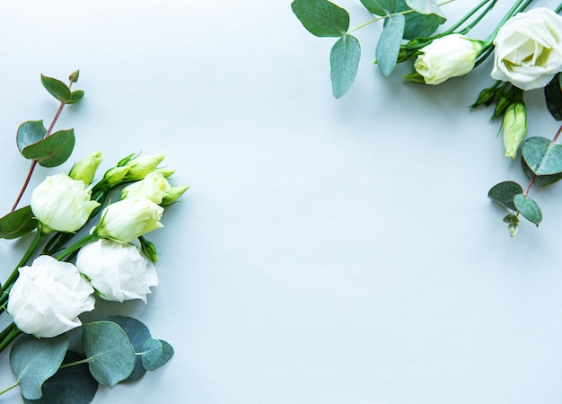 Fleurs d'eustoma blanches sur fond bleu pour la Saint-Valentin