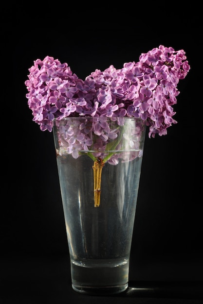 Fleurs de fête lilas dans une tasse de crème glacée gaufre isolé