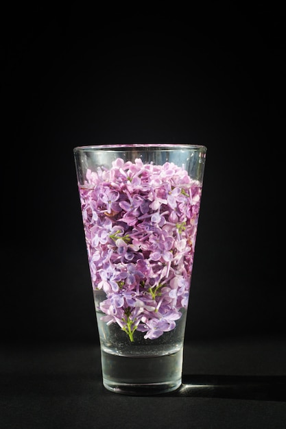 Fleurs de fête lilas dans une tasse de crème glacée gaufre isolé