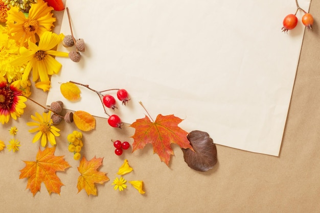 Fleurs et feuilles d'automne sur fond de papier