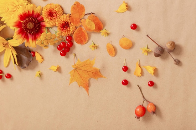 Fleurs et feuilles d'automne sur fond de papier