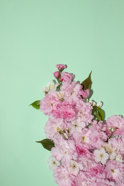 Photo des fleurs et des feuilles de cerises japonaises sur un fond de menthe pastel