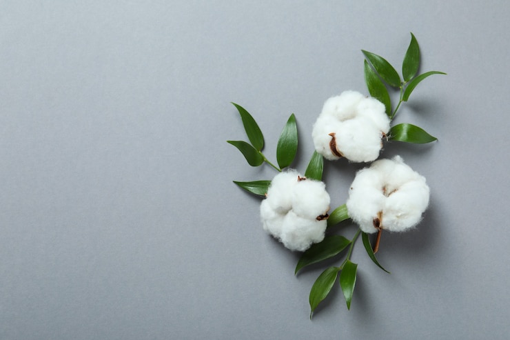 Photo fleurs et feuilles de coton sur fond gris