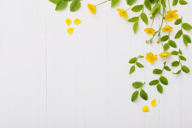 Fleurs et feuilles sur fond de bois blanc