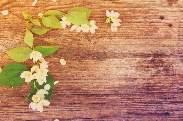 Fleurs et feuilles fraîches de jasmin sur une table en bois aux tons rétro