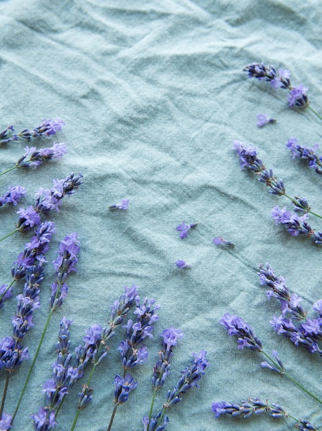 Fleurs et feuilles de lavande cadre créatif sur fond textile
