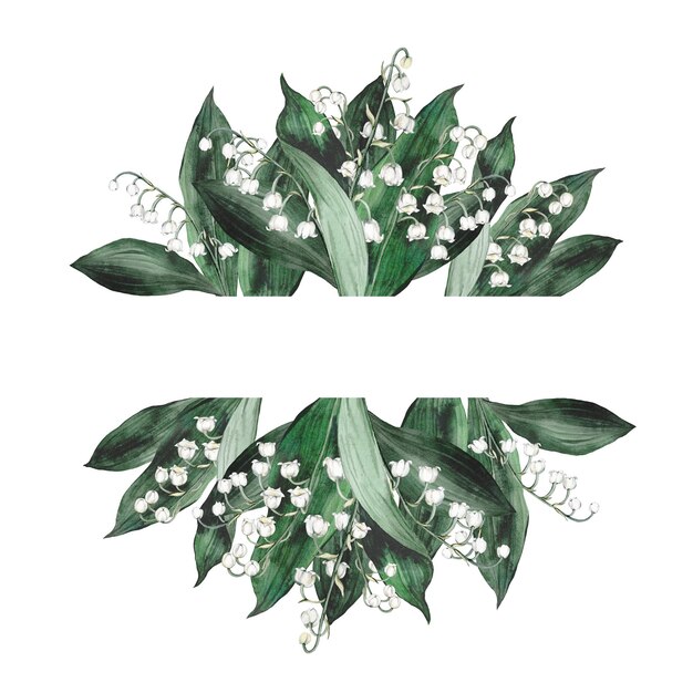 Fleurs et feuilles de muguet.