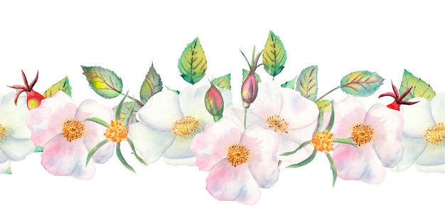 Les fleurs et les feuilles de rose sauvage. Répétition de la bordure horizontale d'été. Illustration aquarelle florale. Compositions pour cartes de vœux ou invitations