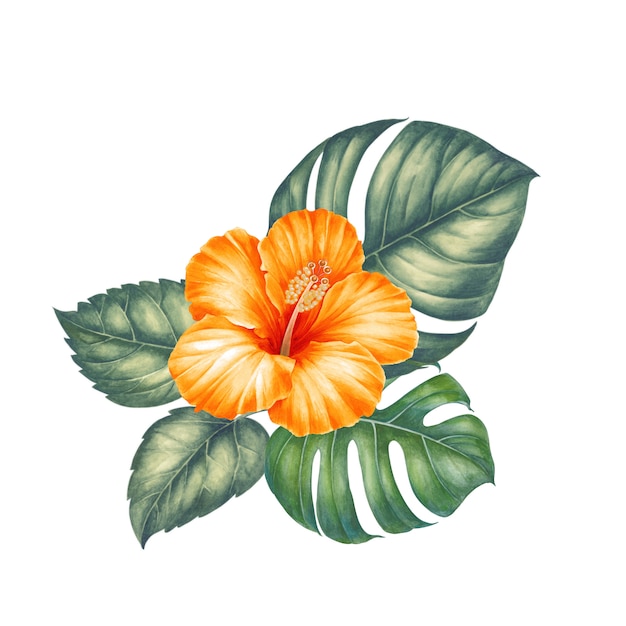 Fleurs et feuilles tropicales