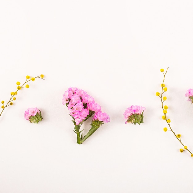 Fleurs sur fond blanc - bonjour printemps et bonjour été