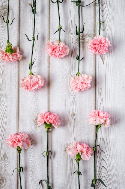 Fleurs sur fond blanc Lay plat, vue de dessus