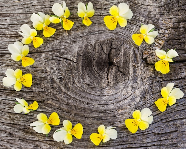 Fleurs sur fond en bois