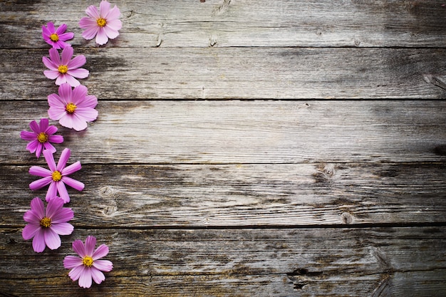 fleurs sur fond de bois