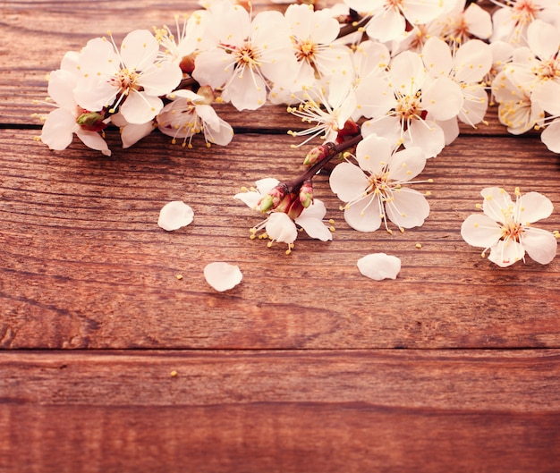 Fleurs sur fond en bois