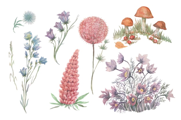 Fleurs fougère forêt plantes feuilles illustration aquarelle dessinés à la main