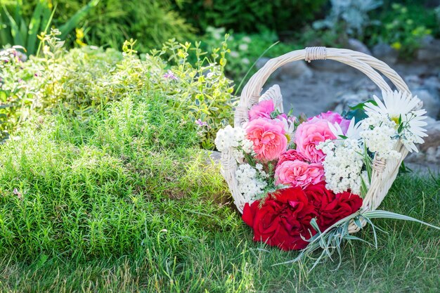 Fleurs fraîchement coupées dans un panier blanc dans un jardin ensoleillé