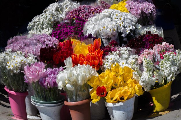 Des fleurs fraîches et colorées mises dans des vases