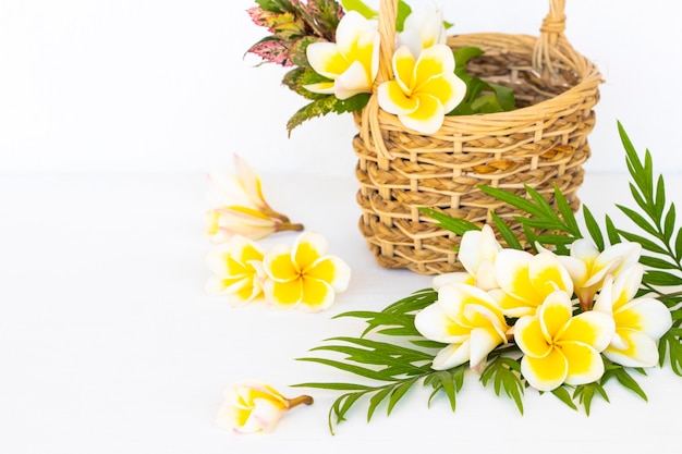 fleurs de frangipanier dans un panier de style carte postale