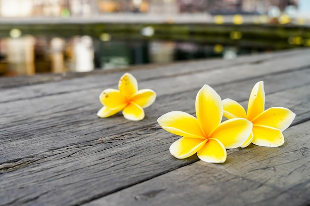 fleurs de frangipanier décorées sur une planche en bois dans un style zen pour un cadre de méditation spa