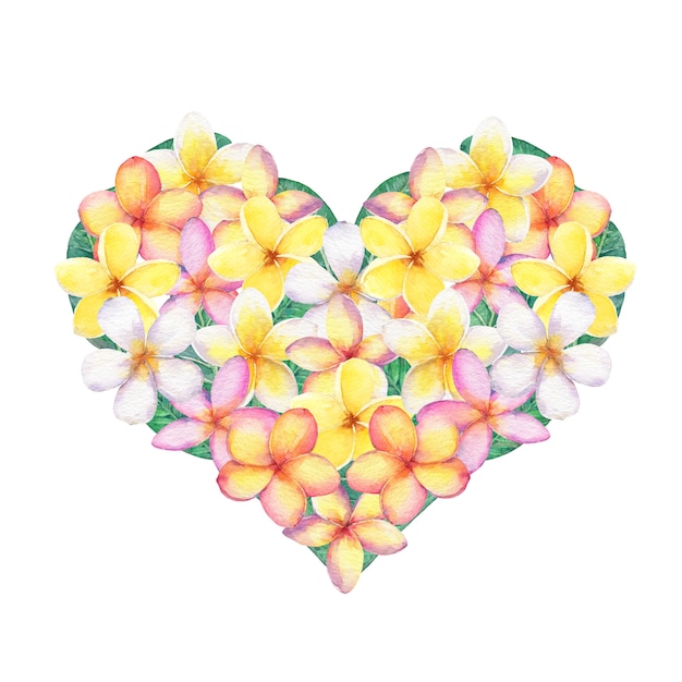 Fleurs de frangipanier en forme de coeur