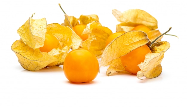 Fleurs et fruits de Fisalis (Physalis peruviana) isolé sur blanc