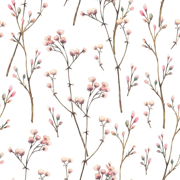 Fleurs de gypsophile brindille aquarelle motif sans couture beige rose pastel couleur petites fleurs sèches et
