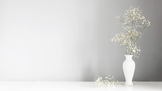 Fleurs de gypsophile dans un vase blanc sur fond gris