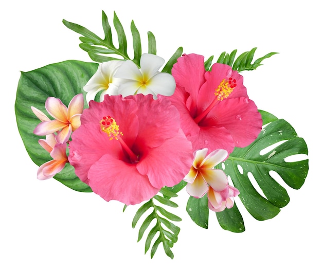 Photo fleurs d'hibiscus roses et feuilles de monstera dans un arrangement tropical sur fond blanc