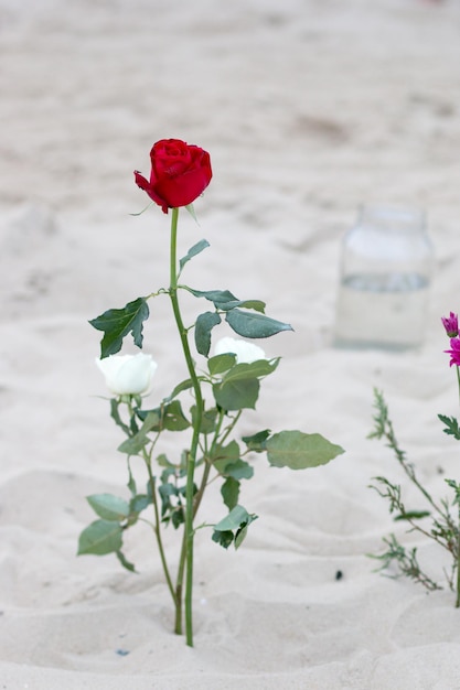 Fleurs en l'honneur d'iemanja, sur le sable de la plage de Copacabana à Rio de Janeiro - Brésil.