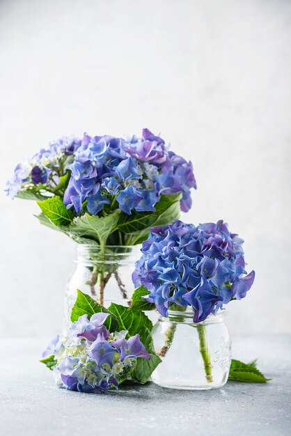 Fleurs d'hortensia bleu étonnant