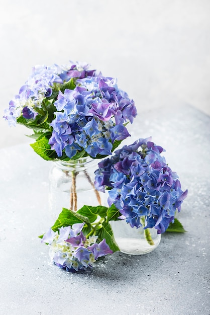 Fleurs d'hortensia bleu étonnant