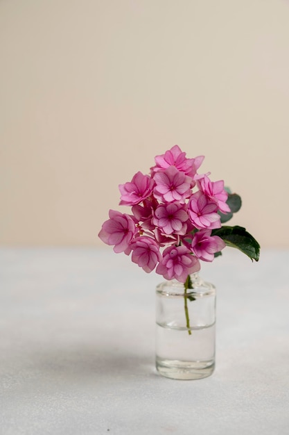 Fleurs d'hortensia rose dans un vase Carte de voeux bouquet de fleurs d'été coloré