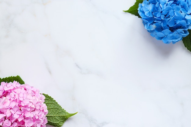 Fleurs d'hortensia sur une table en marbre blanc avec espace de copie Floral background Blank for design