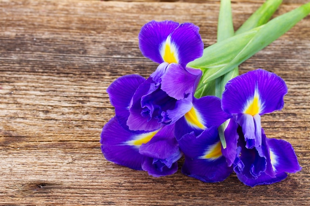 Fleurs d'iris fraîches sur table en bois