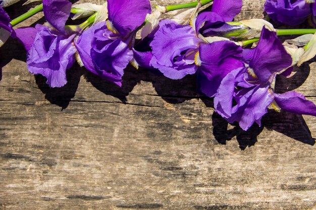 Fleurs d'iris violet sur fond de bois avec espace de copie