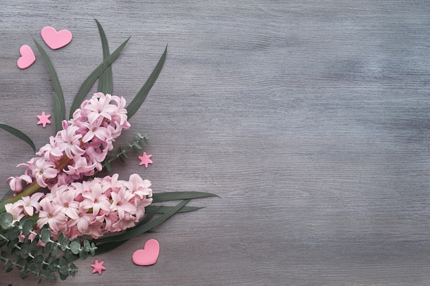 Fleurs de jacinthe perle rose et plantes d'eucalyptus sur bois gris foncé, mise à plat avec espace de texte