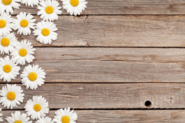 Fleurs de jardin de camomille sur fond de bois