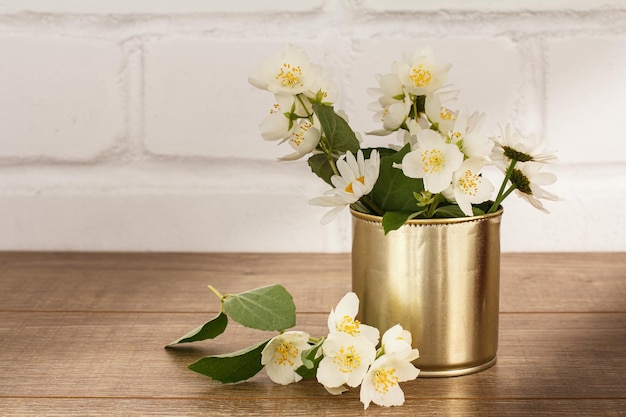 Fleurs de jasmin fleurissant en journée d'été ensoleillée