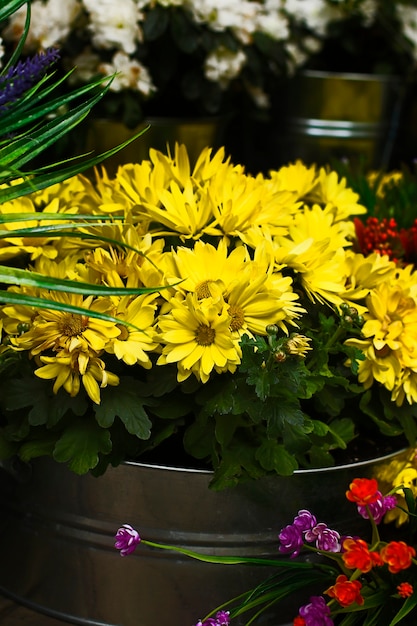 Fleurs jaunes dans la rue. Idée déco moderne. Gros bouquet.