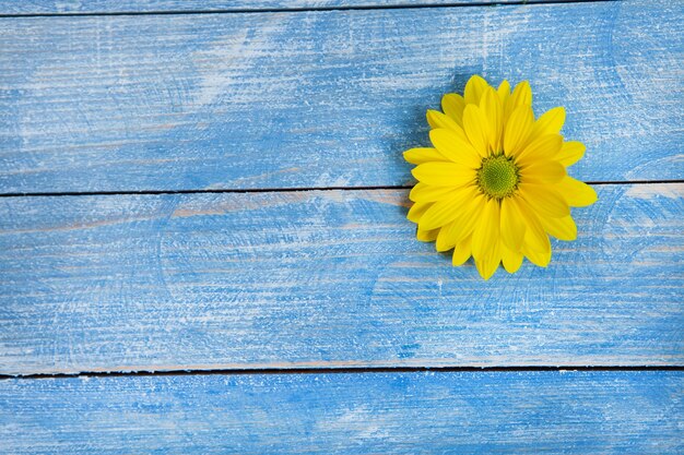 Fleurs jaunes sur fond de bois peint pour le texte