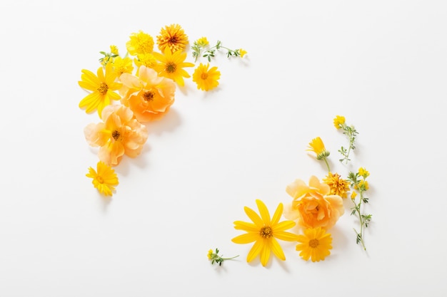 Fleurs jaunes sur mur blanc