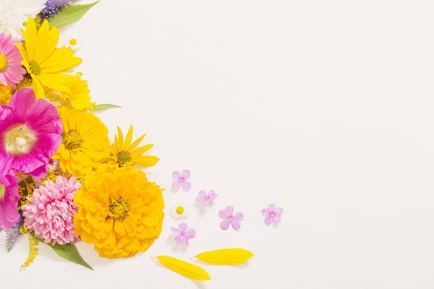 Fleurs jaunes et roses sur mur blanc