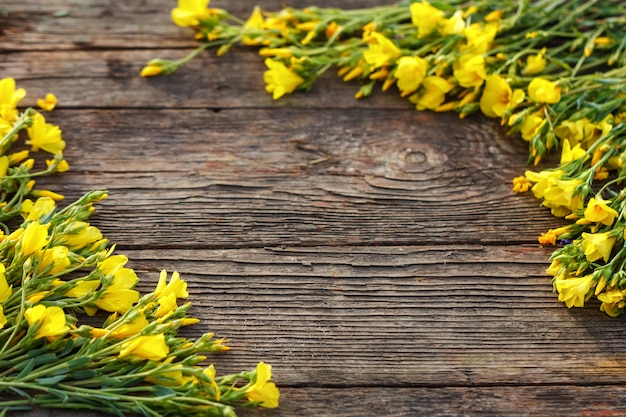 Les fleurs jaunes sont encadrées sur un fond en bois, beau printemps et fond festif.