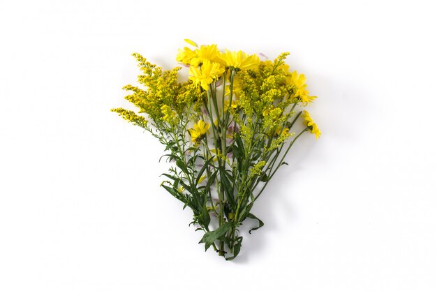 Fleurs jaunes